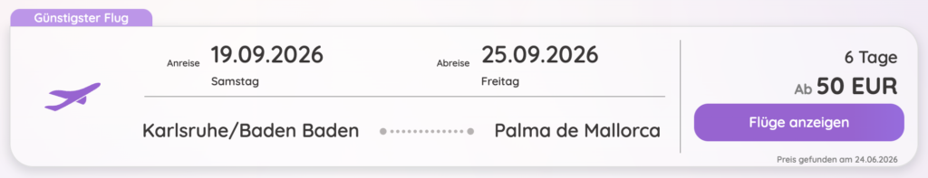 Flugpreis